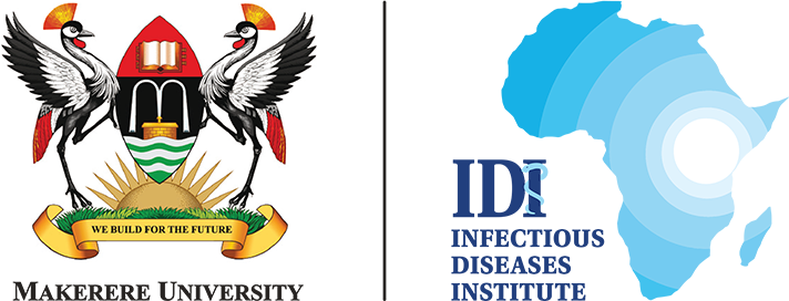 IDI Logo 2- resized 2